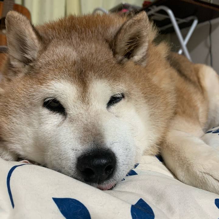 73b5afb1 dedb 4e36 8857 54ed8d2a9915 1616854421416