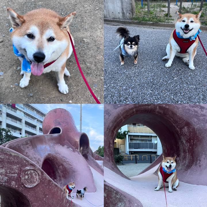 73b5b764 c25f 4762 b89e 6408252a3f69 1689069805904