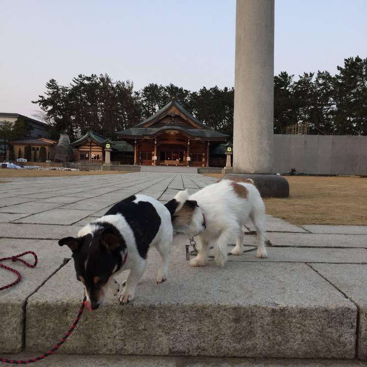 73b5d776 099b 4607 9473 2ae1992ba55f 1520894275321