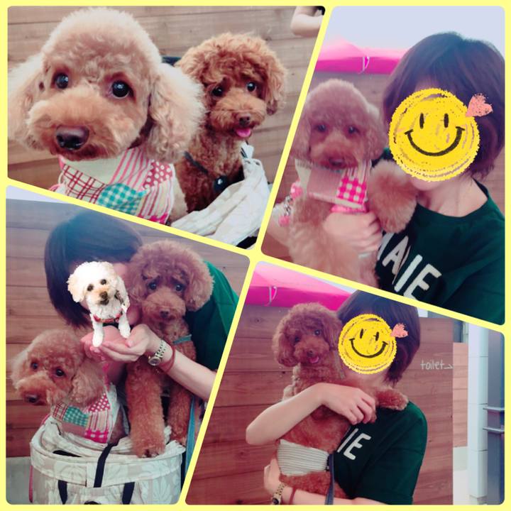 73b5f1b9 2483 4ca6 a597 82d1df2ceacf 1535877470193