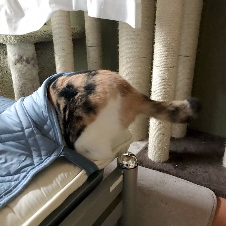 73b61a53 62ed 4b64 99cb 46f9ab8ddaa2 1537752710362