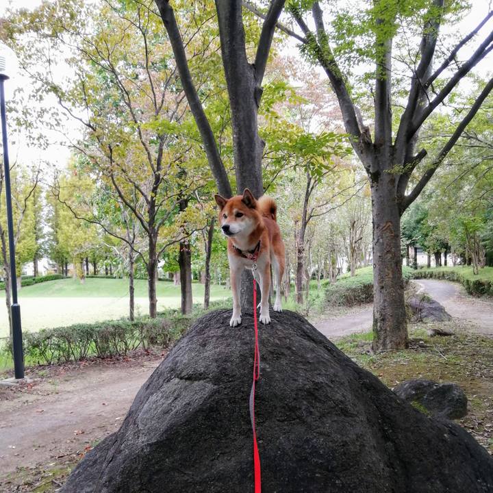 73b650a9 60d5 4a15 9f17 acaec16d123b 1632528557853