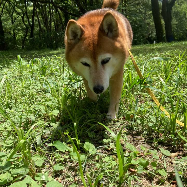 73b6bb17 f739 49f4 abad 3fed485501bf 1654053825419