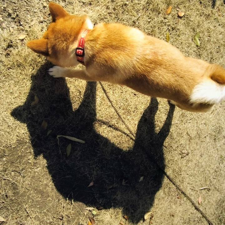 73b6f879 0fdb 4ff7 8337 2a9381254c69 1602298288383