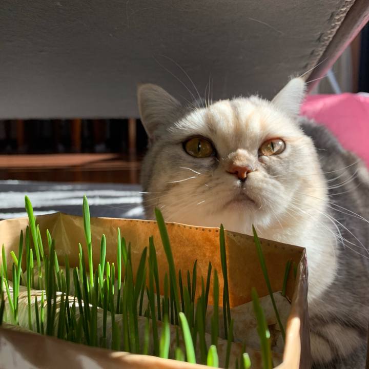 73b71645 6881 4c10 af62 223032ba8a4e 1710027070228