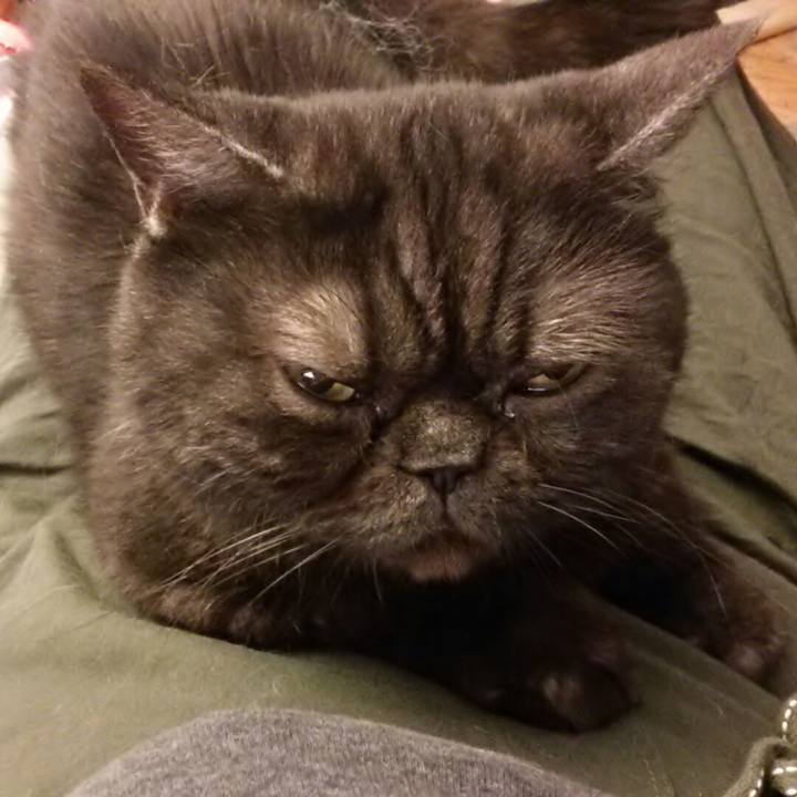 73b71e23 b90c 41ff 8682 338b98e461bc 1561009386656