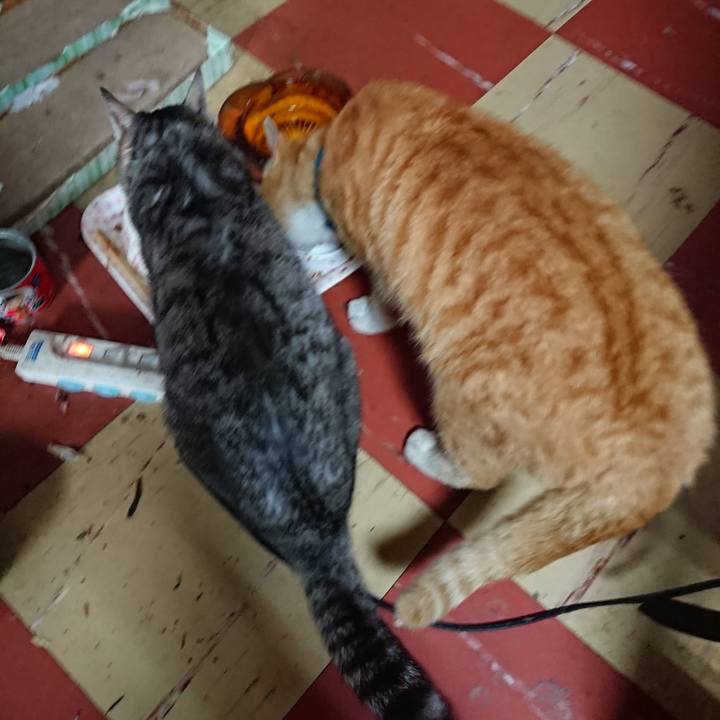 73b725bb e21b 4bd9 873b 28d55e64d66b 1555226301443