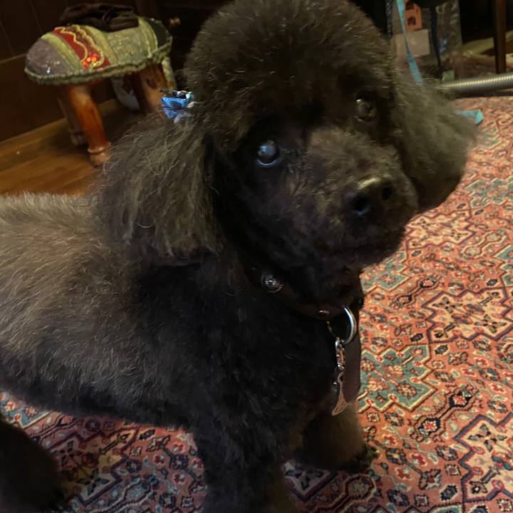 73b7630d 6a80 47a2 9b11 537f95627706 1582609890639