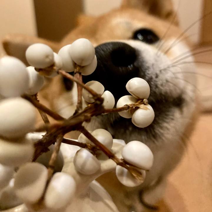 73b78902 5ec1 4180 aed6 274263b0d8e4 1639740191209