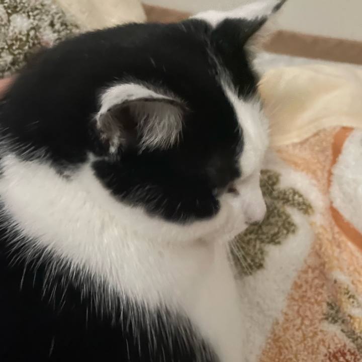 73b7b315 afd3 4305 94d1 ed270bc1581c 1667338308401