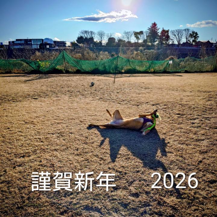 73b7b8f1 0b59 430b 98d0 ffc76ebcd085 1767423354380