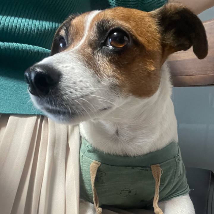 73b7e2ac 8d25 4b85 9999 29f43b1fd18c 1716957866940