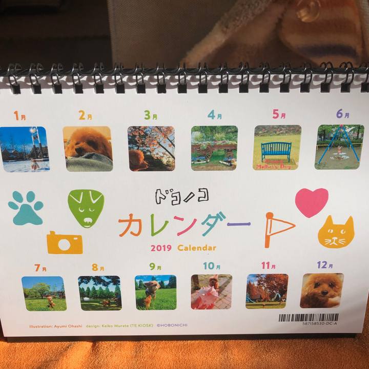 73b7ee54 4417 48ab 9a10 c17381445cd8 1546226838647