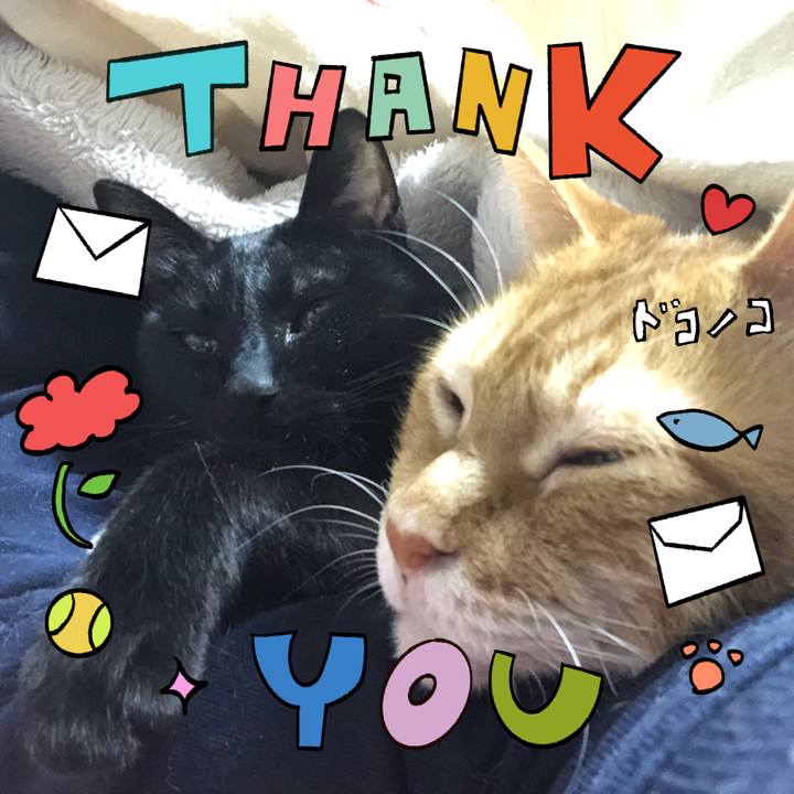 73b812fb 1b4d 4533 84d0 9d29e3440584 1715079554261