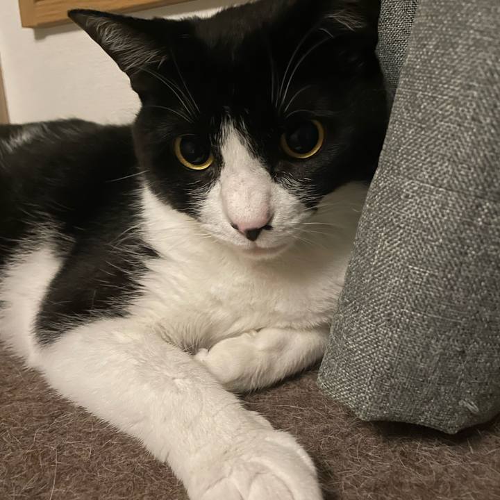 73b85a4c bd7b 4034 87e8 425f046e1f9e 1750443482855