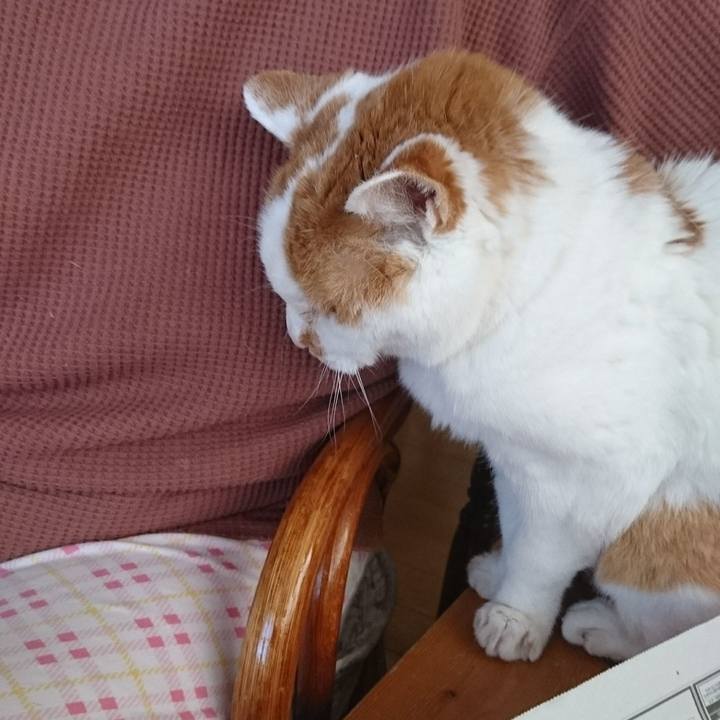 73b86c14 bae8 4996 804e 011b46b6b55f 1745821428310