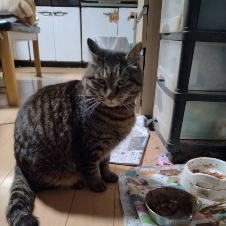 73b87340 60be 423e a4b6 8442b149f58a 1680946654724