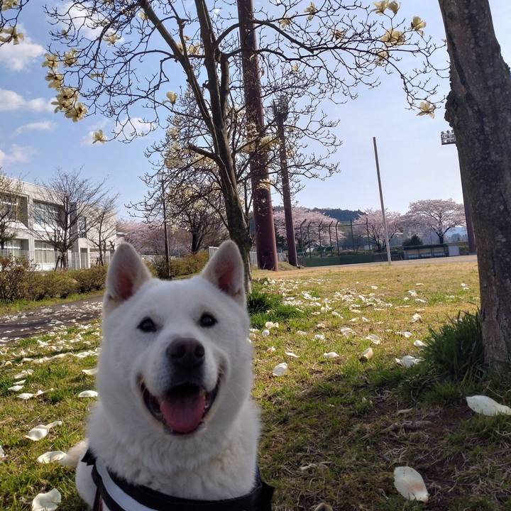 73b8922f 8ef5 4b7b be3b 5c4432fcf88f 1649808417983