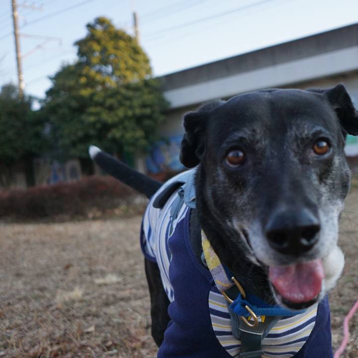 73b8c3db 6717 484d bbeb 7ab6c5ca571f 1768870508792