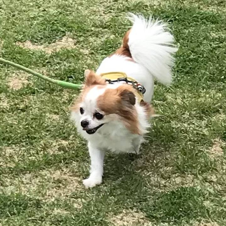 73b8dc2d cc2c 4d78 93f2 00b98d396b08 1556508819386