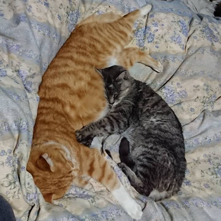 73b8fd67 ae72 42f2 b6b3 53545767d5e3 1576328762686