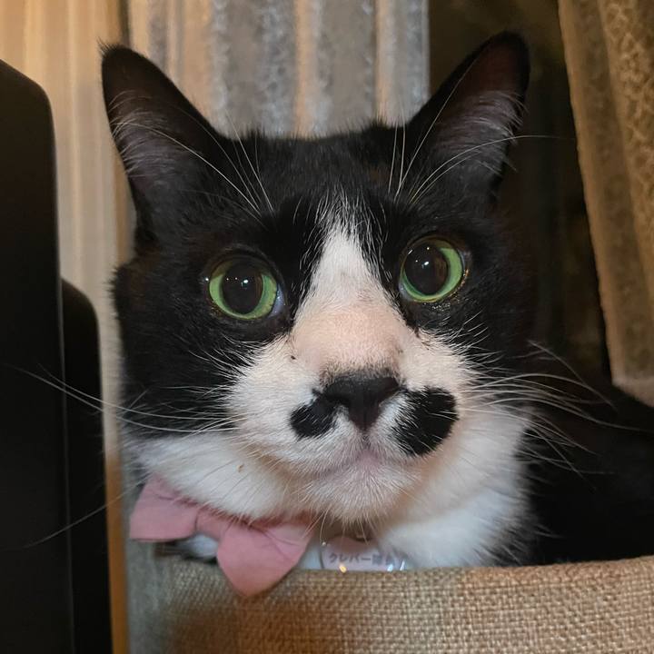 73b90b3b 3022 43a3 98af 9c657ae8a4a2 1747491938946