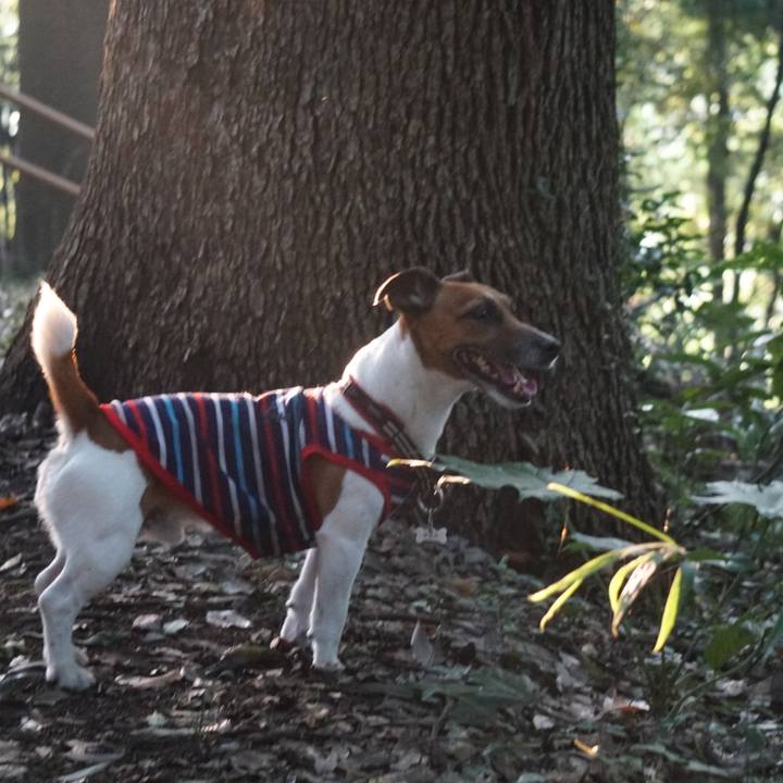 73b92d3b 5547 4f4e 970d 4254ee88eb0f 1564614728880