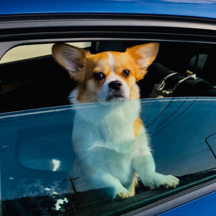 73b93b1b d30d 4f95 b2ad 4d31d9bc4114 1582970693074