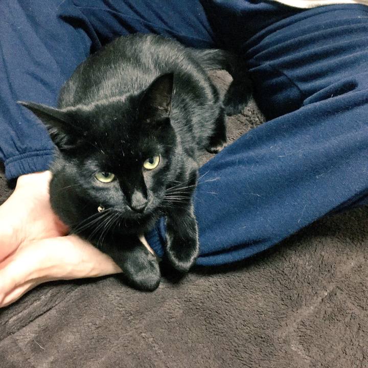 73b95df3 e8c8 4c4a a2b4 0c87802e5441 1510309849080