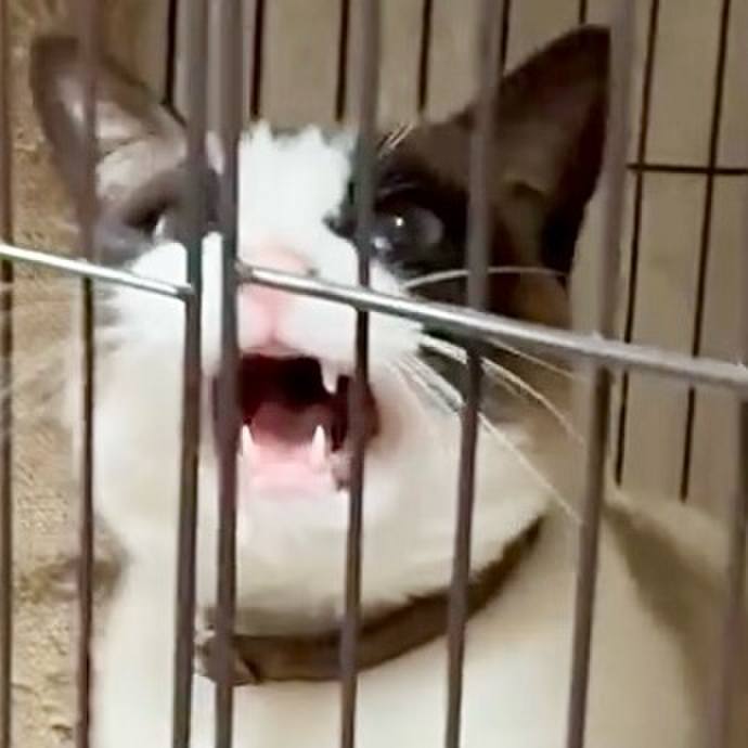 73b95ef0 121e 4580 b030 15d260c8531a 1747474377588