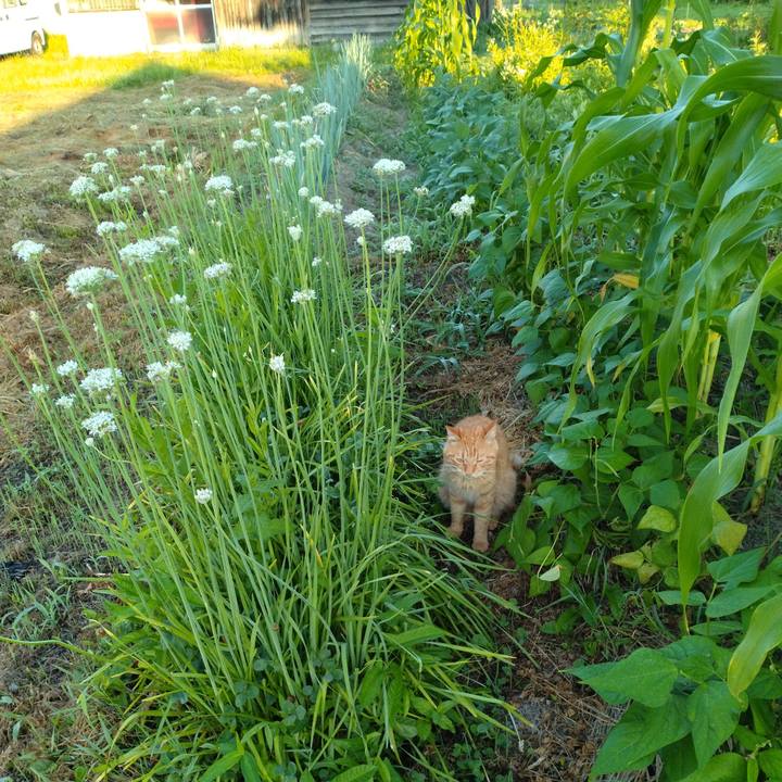 73b9641a 342a 4390 aa02 b81ee3997781 1690409407576