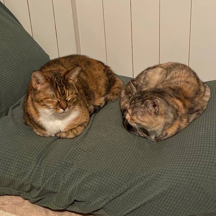 73ba0b8b 5f1e 4b5a 8d55 c6bbd9932cdf 1578534109453