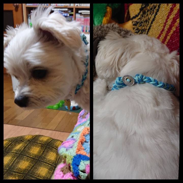 73ba3ea6 c1d8 4e3b 83ad 1a9d899b2a24 1546862799676