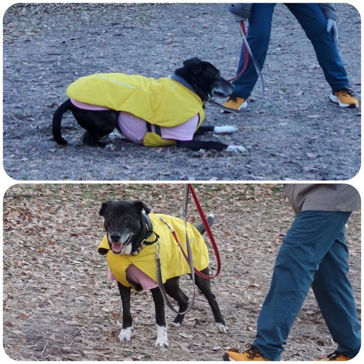 73ba529a b5dd 4384 9011 7632c8bcae8b 1736727019850