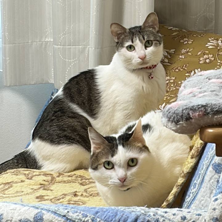 73ba7762 ca58 4fa7 9d41 58dcc38a4163 1771033331185