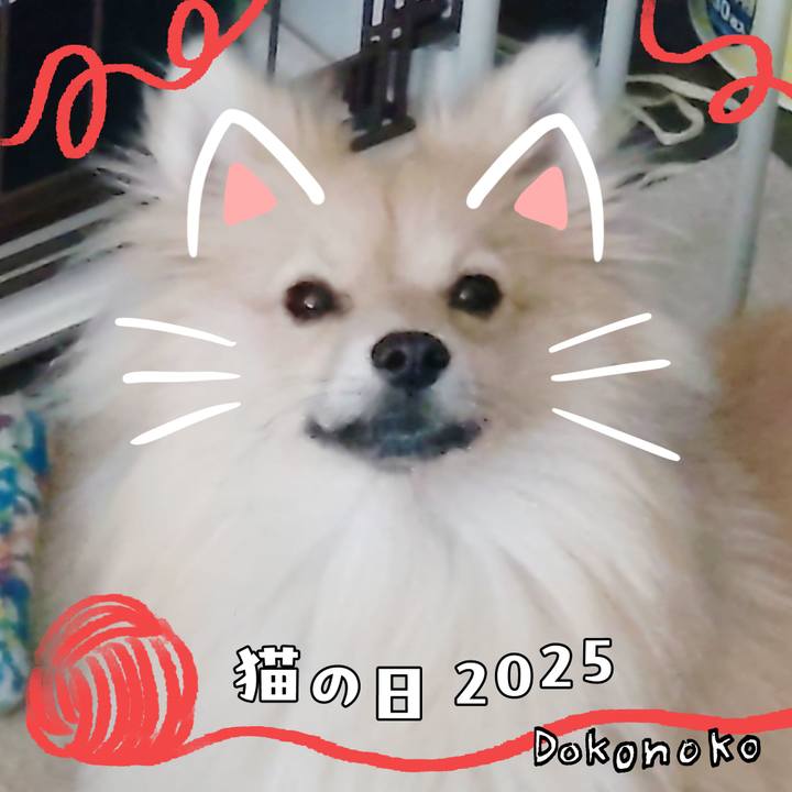 73ba81cd 1a45 48d6 8950 58d31511edf8 1740181403317