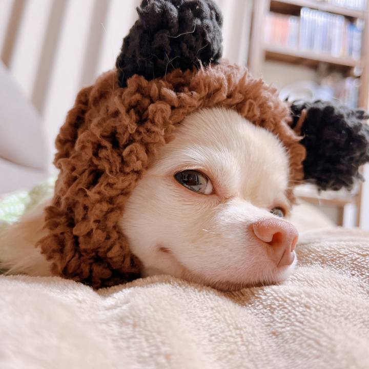 73baab9e 8bea 4c9c 81de 4a1df2da9269 1665992523992