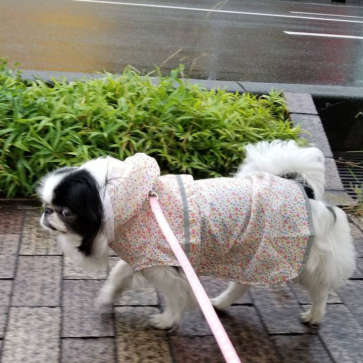 73bac976 d0e0 4ec1 8d22 c0e6a8790920 1528286326577