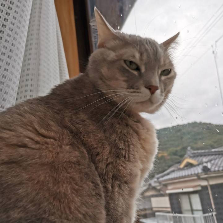 73badc48 a74b 4f66 a144 e515fecfd022 1609288253760