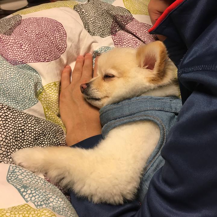 73badc6c 9262 44c1 8ee4 a276ce914405 1555322617002