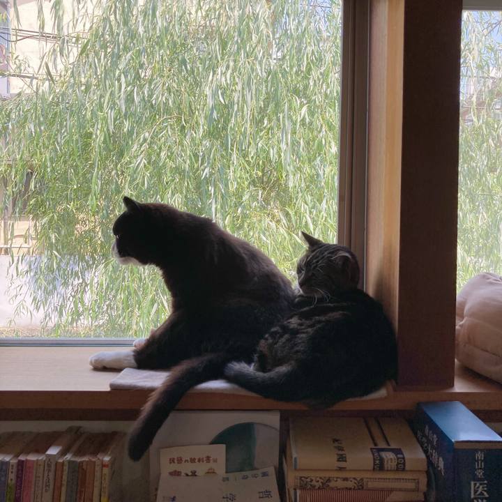 73baf245 90d8 4a5e a612 b264d5249f5b 1590669571601