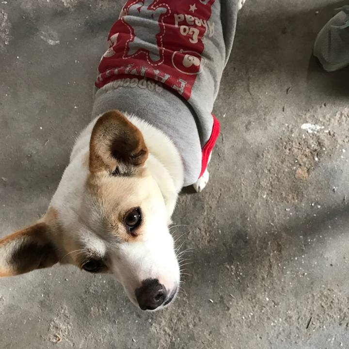 73baf854 ea3c 470c b984 28926d16f3fe 1515239371800