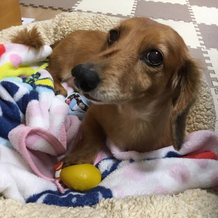 73bb5e50 63e4 410f 8ac3 5a3e734bec4f 1579269338147