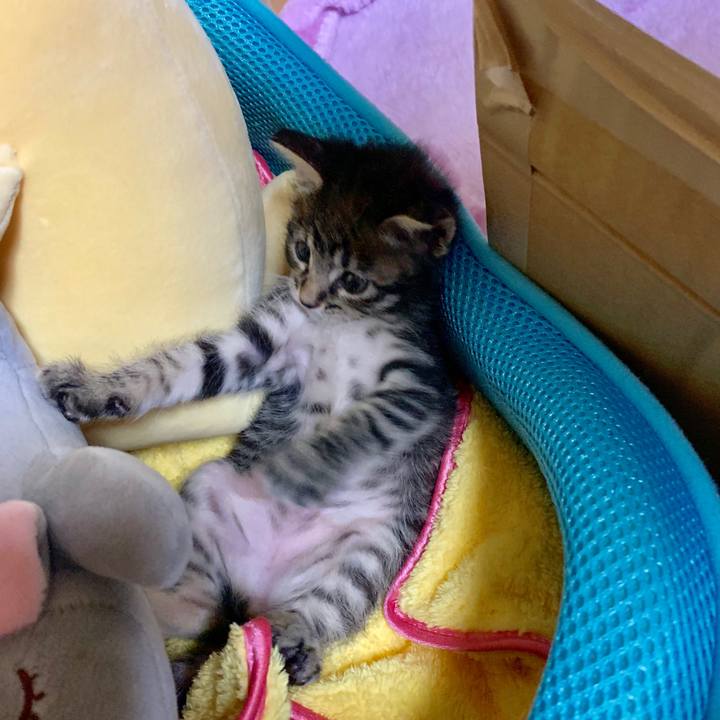 73bbc638 aa28 4d12 8365 35b15f53ea42 1563804072523