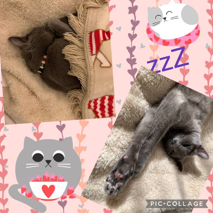 73bbddc4 db1f 4adf ade7 1456b6e09709 1644582858673