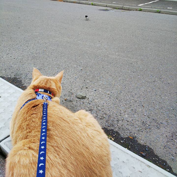 73bc0f81 4be5 4789 964a 2eb74b840cd1 1562988148416