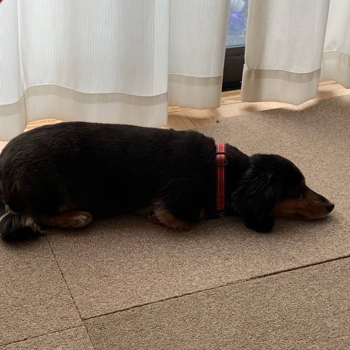 73bc1ae0 43d6 4946 9d9e 25120de6bbd9 1553206463873