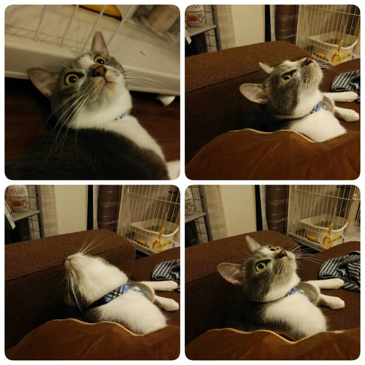 73bc25b8 8334 41f2 b489 328ad1c86b1f 1595597856430