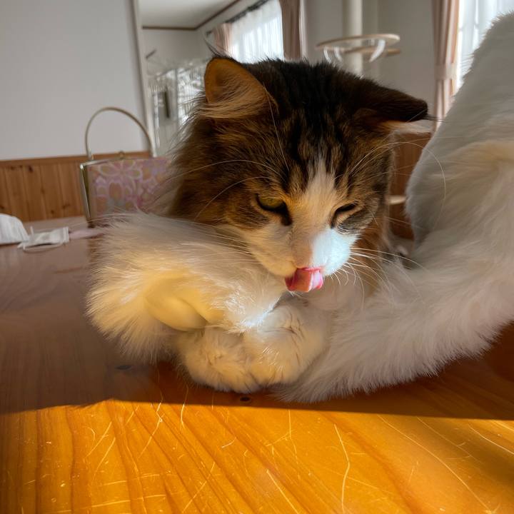 73bc3cc6 0de7 43cb 8ae3 e1af4d19e1fb 1673147895961