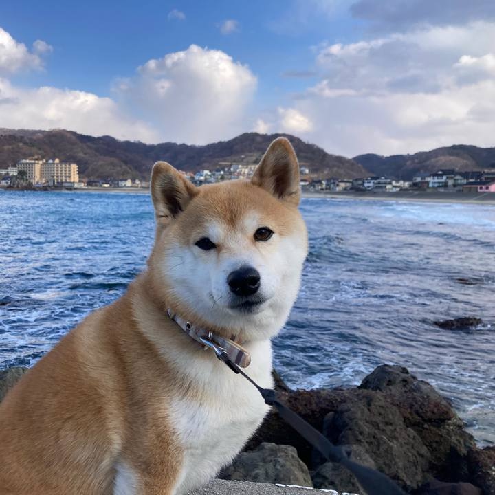 73bc5372 ebea 4fd1 b704 7487255a81f1 1707735793898